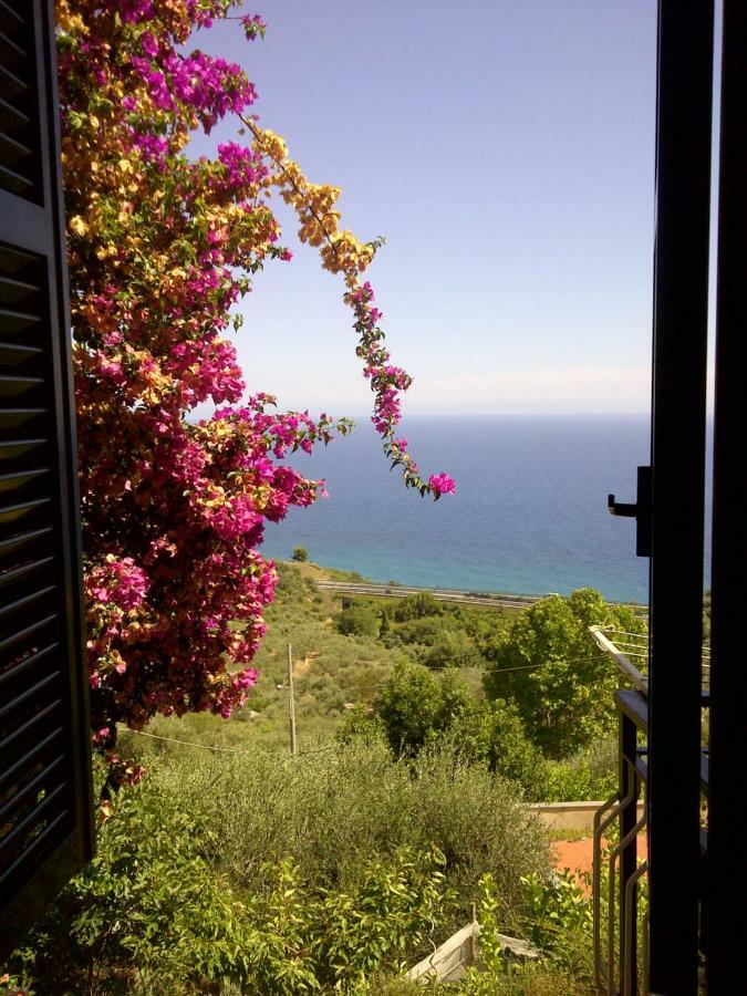 Risorgimento Apartment Cipressa Bagian luar foto