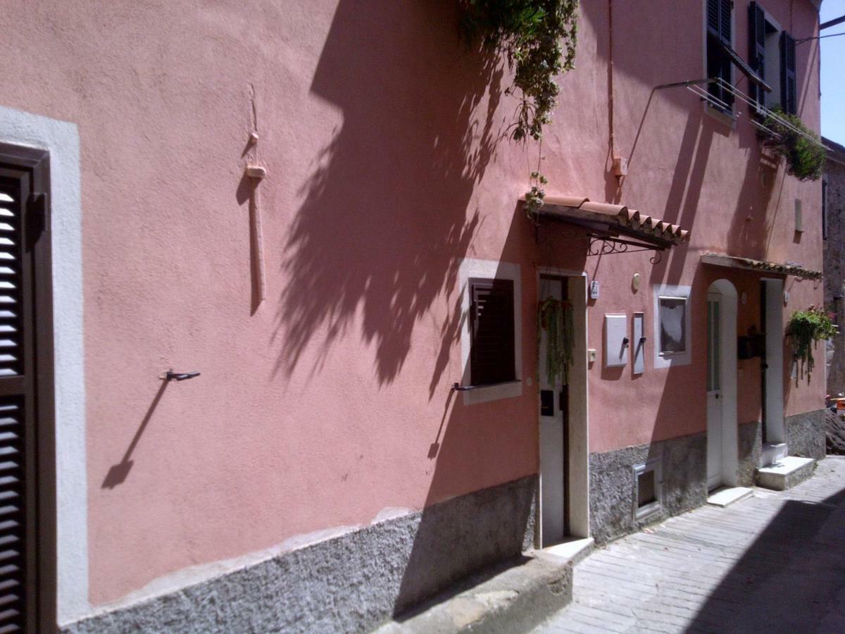Risorgimento Apartment Cipressa Bagian luar foto